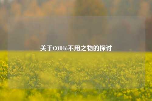 关于COD16不用之物的探讨