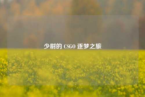 少尉的 CSGO 逐梦之旅