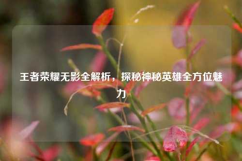 王者荣耀无影全解析，探秘神秘英雄全方位魅力