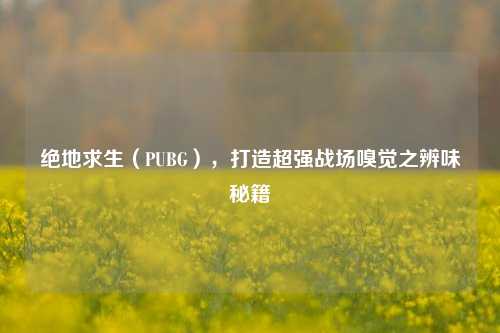 绝地求生（PUBG），打造超强战场嗅觉之辨味秘籍