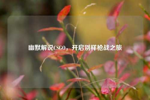 幽默解说CSGO，开启别样枪战之旅