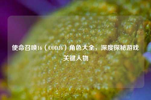 使命召唤16（COD16）角色大全，深度探秘游戏关键人物