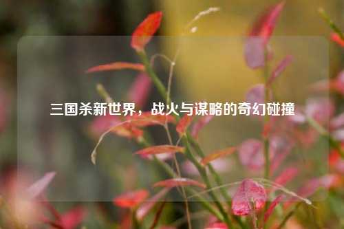 三国杀新世界，战火与谋略的奇幻碰撞