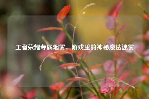 王者荣耀专属烟雾，游戏里的神秘魔法迷雾