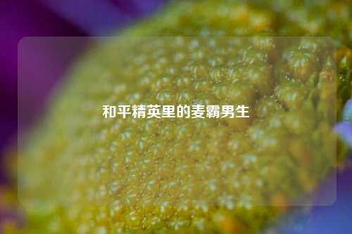 和平精英里的麦霸男生