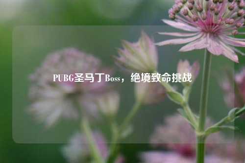 PUBG圣马丁Boss，绝境致命挑战