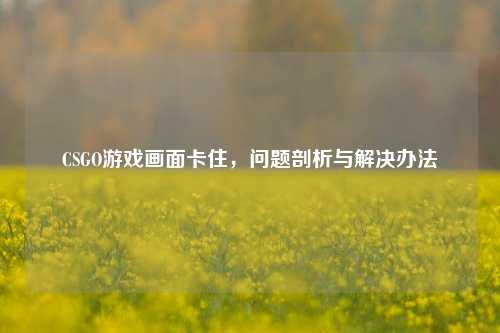 CSGO游戏画面卡住，问题剖析与解决办法