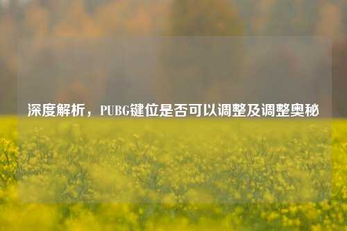 深度解析，PUBG键位是否可以调整及调整奥秘