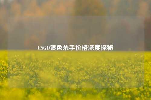 CSGO银色杀手价格深度探秘
