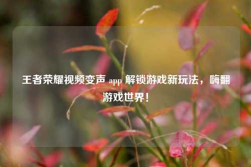 王者荣耀视频变声 app 解锁游戏新玩法，嗨翻游戏世界！