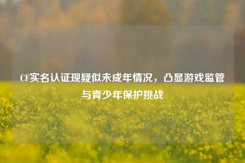 CF实名认证现疑似未成年情况，凸显游戏监管与青少年保护挑战
