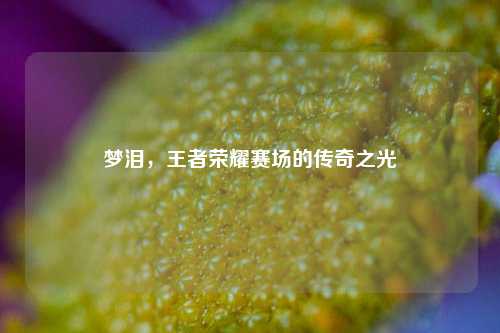 梦泪，王者荣耀赛场的传奇之光