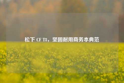 松下 CF T8，坚固耐用商务本典范
