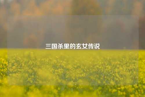 三国杀里的玄女传说