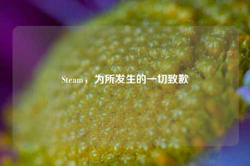 Steam，为所发生的一切致歉