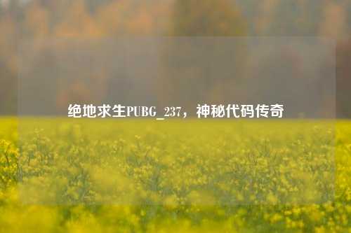 绝地求生PUBG_237，神秘代码传奇