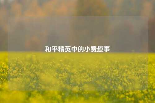 和平精英中的小费趣事