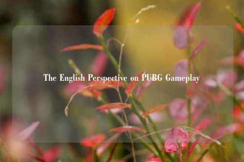 The English Perspective on PUBG Gameplay