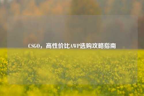 CSGO，高性价比AWP选购攻略指南