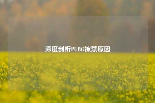 深度剖析PUBG被禁原因