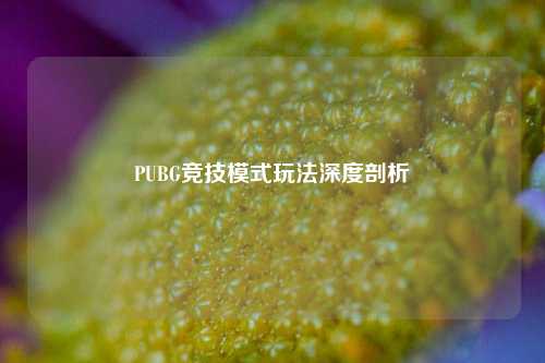 PUBG竞技模式玩法深度剖析