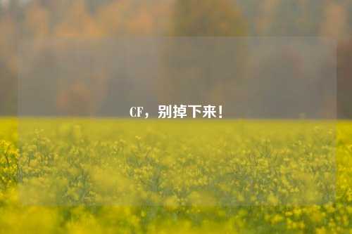 CF，别掉下来！