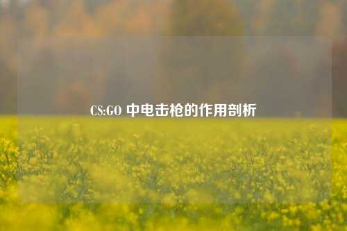 CS:GO 中电击枪的作用剖析