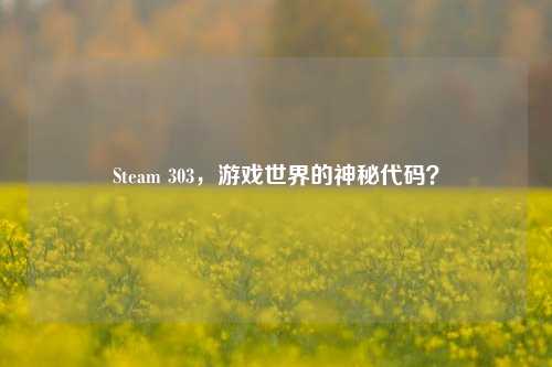 Steam 303，游戏世界的神秘代码？
