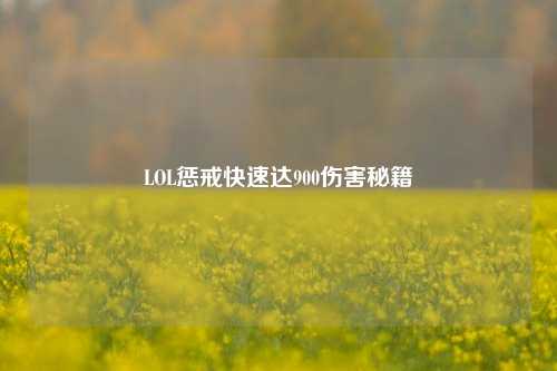 LOL惩戒快速达900伤害秘籍