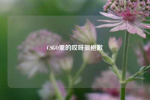CSGO里的哎呀很抱歉