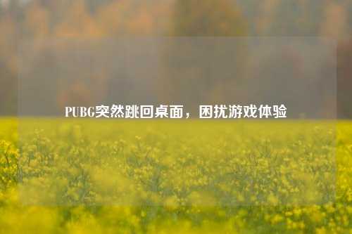 PUBG突然跳回桌面，困扰游戏体验