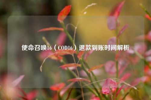使命召唤16（COD16）退款到账时间解析