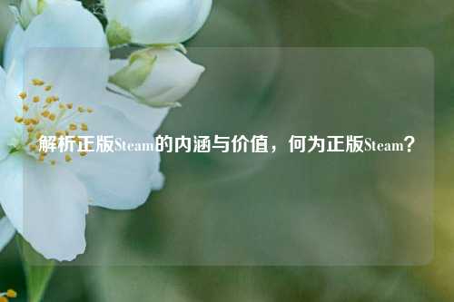 解析正版Steam的内涵与价值，何为正版Steam？