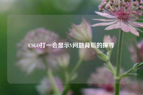 CSGO打一会显示V问题背后的探寻