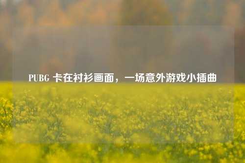 PUBG 卡在衬衫画面，一场意外游戏小插曲