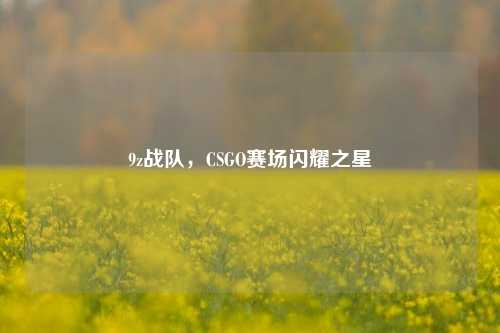 9z战队，CSGO赛场闪耀之星