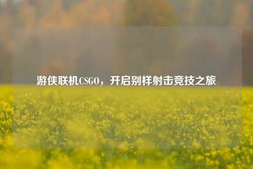 游侠联机CSGO，开启别样射击竞技之旅