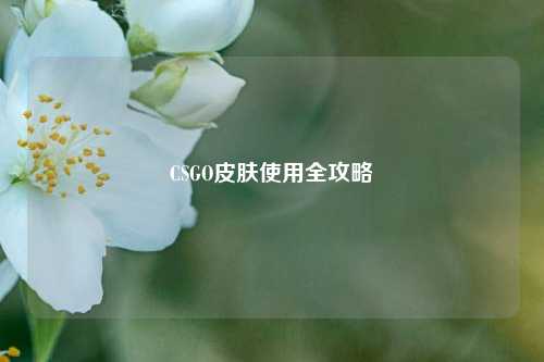 CSGO皮肤使用全攻略
