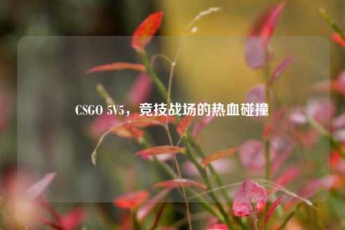 CSGO 5V5，竞技战场的热血碰撞