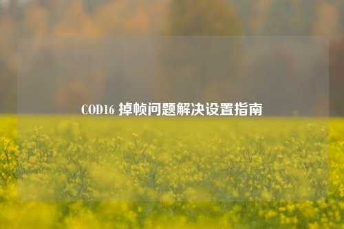 COD16 掉帧问题解决设置指南