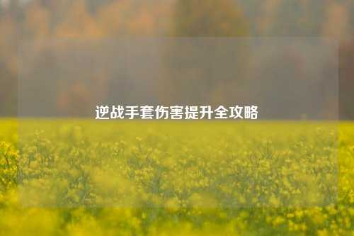 逆战手套伤害提升全攻略