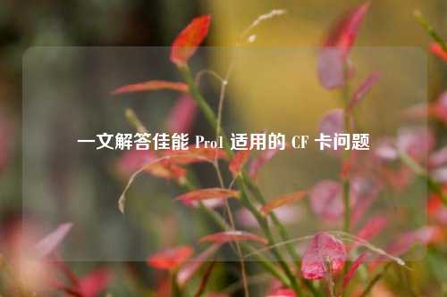 一文解答佳能 Pro1 适用的 CF 卡问题