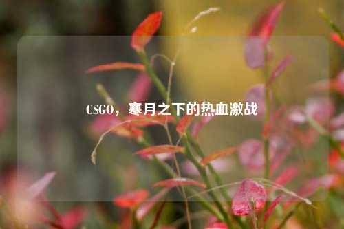CSGO，寒月之下的热血激战