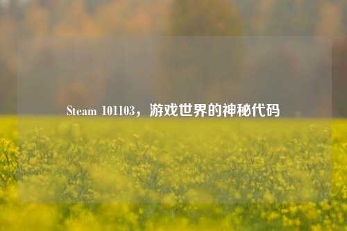 Steam 101103，游戏世界的神秘代码