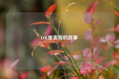 LOL里表哥的故事