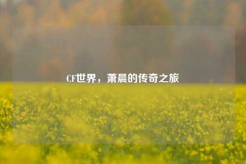 CF世界，萧晨的传奇之旅