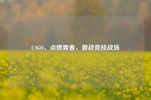 CSGO，点燃青春，激战竞技战场