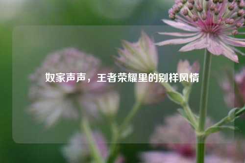 奴家声声，王者荣耀里的别样风情