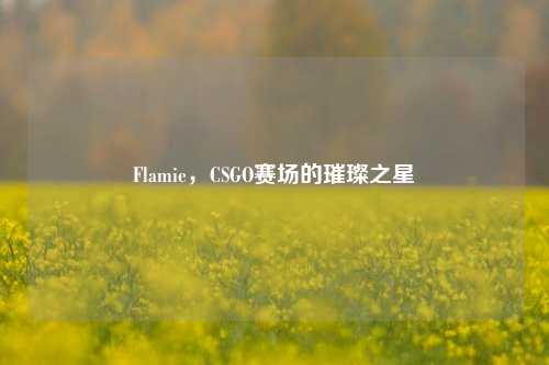 Flamie，CSGO赛场的璀璨之星