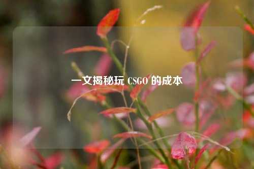 一文揭秘玩 CSGO 的成本